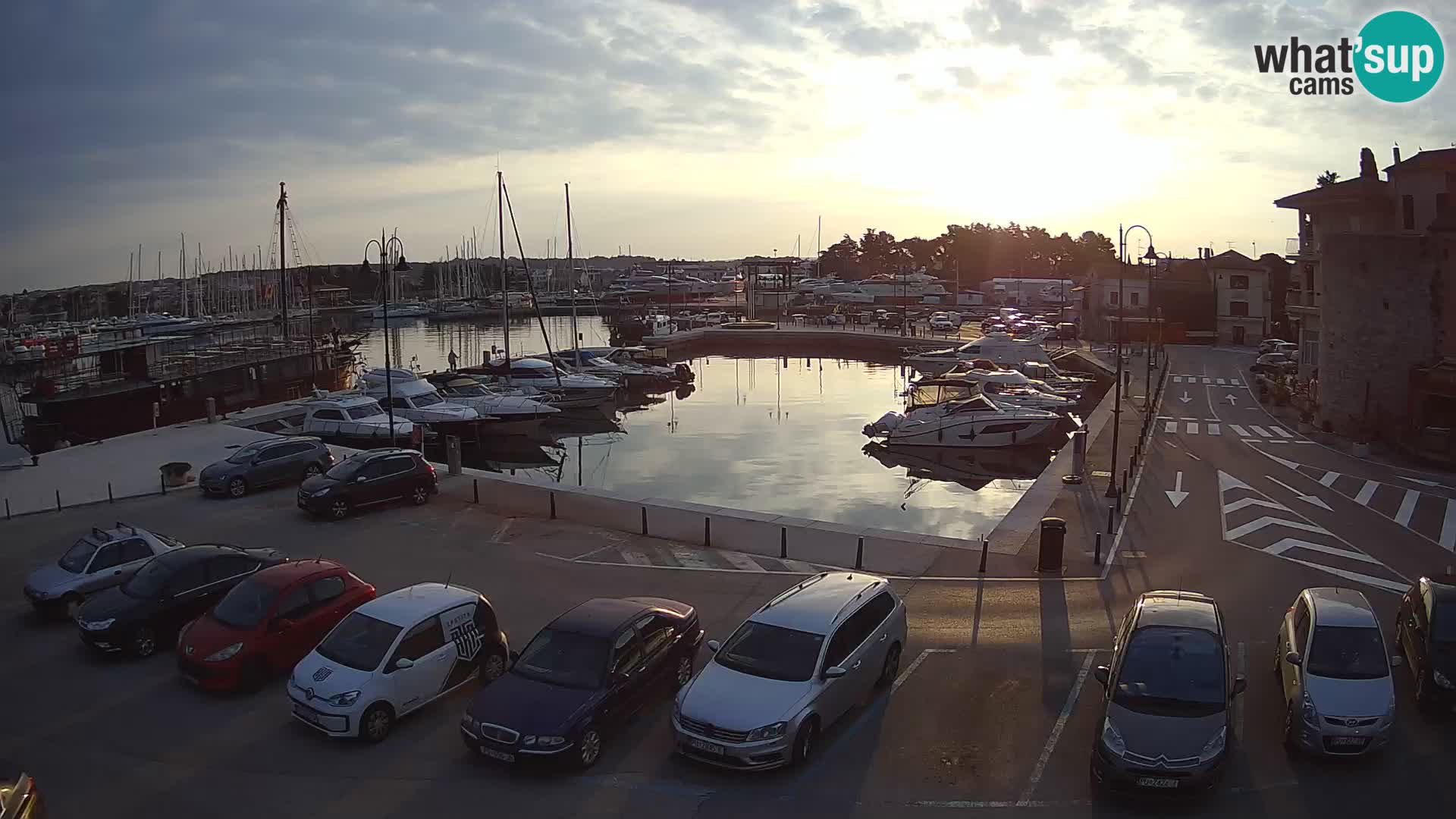 Novigrad | Porporela marina