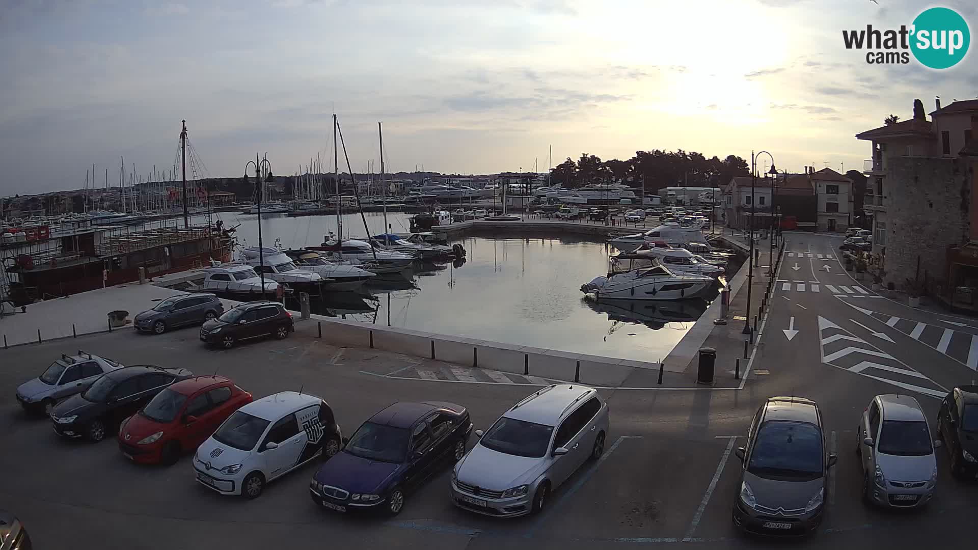 Novigrad | Porporela marina