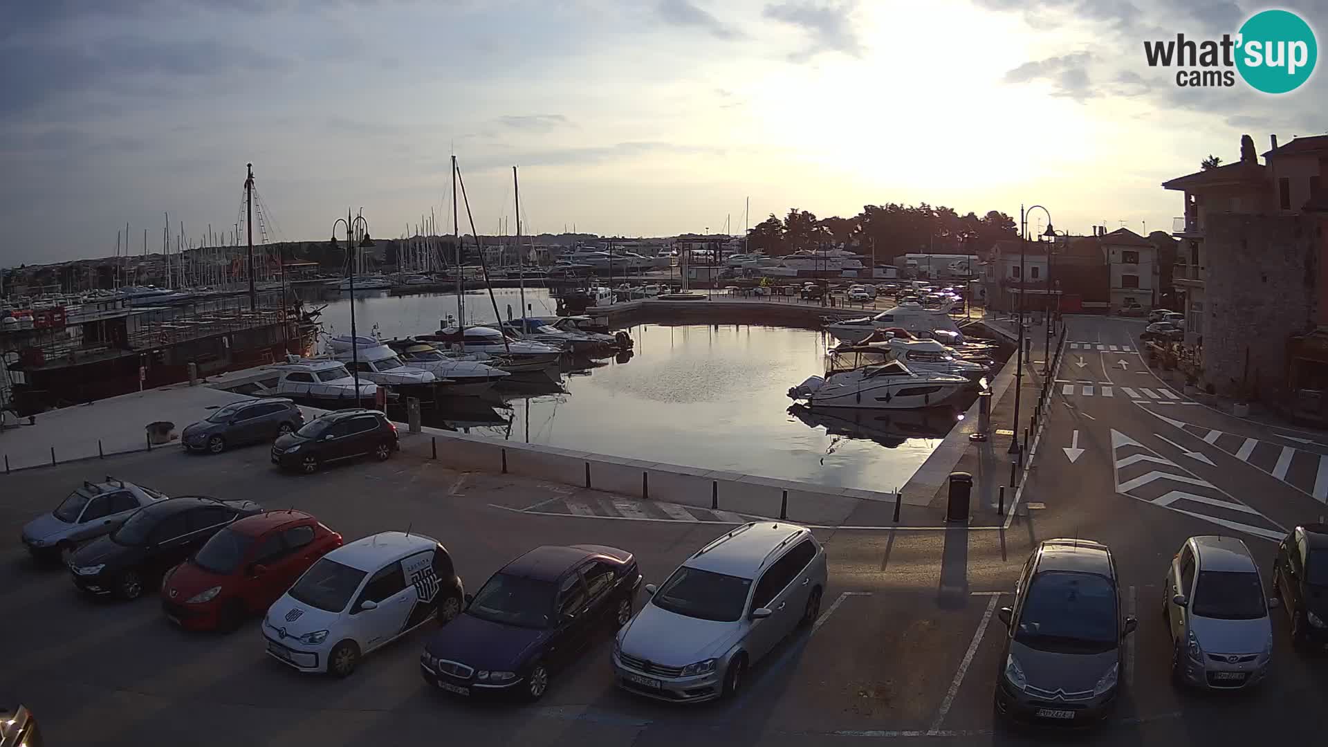 Novigrad | Porporela marina