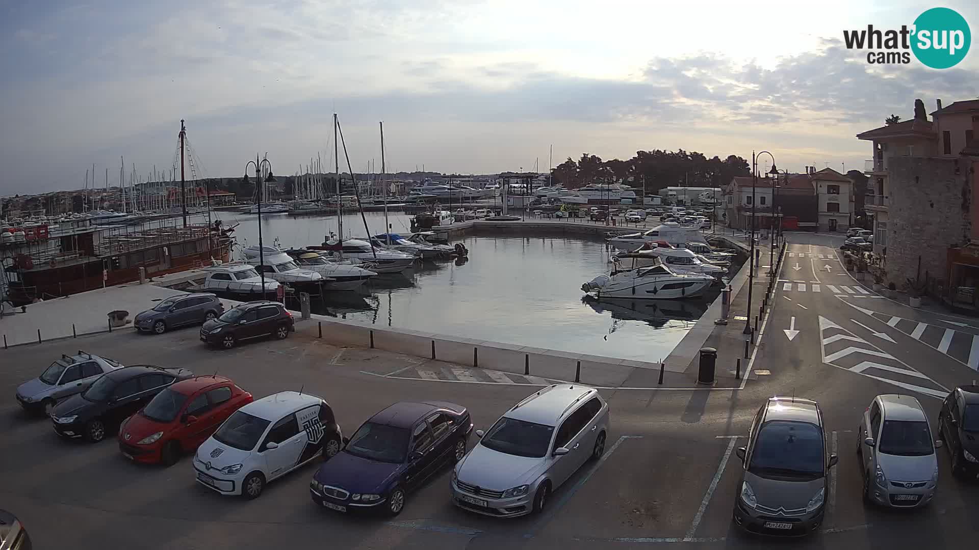 Novigrad | Porporela marina