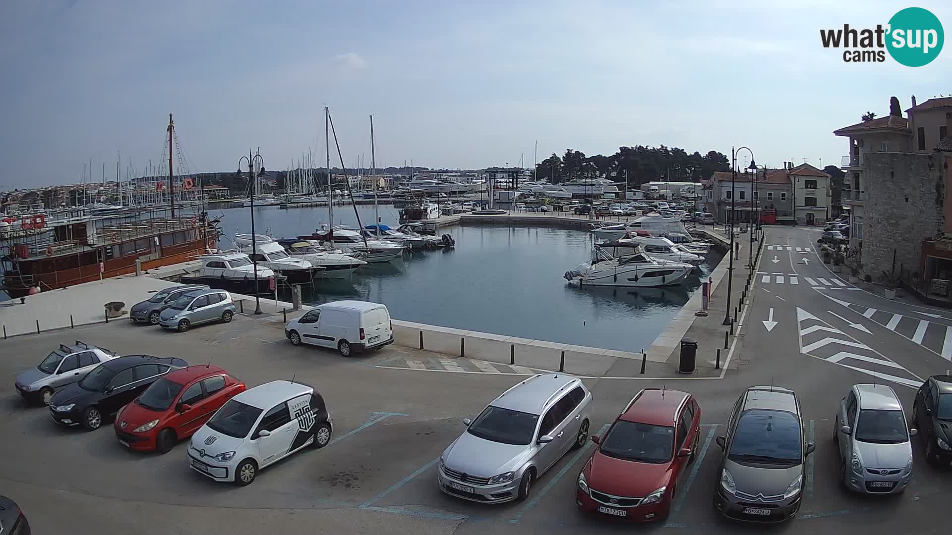 Novigrad | Porporela marina
