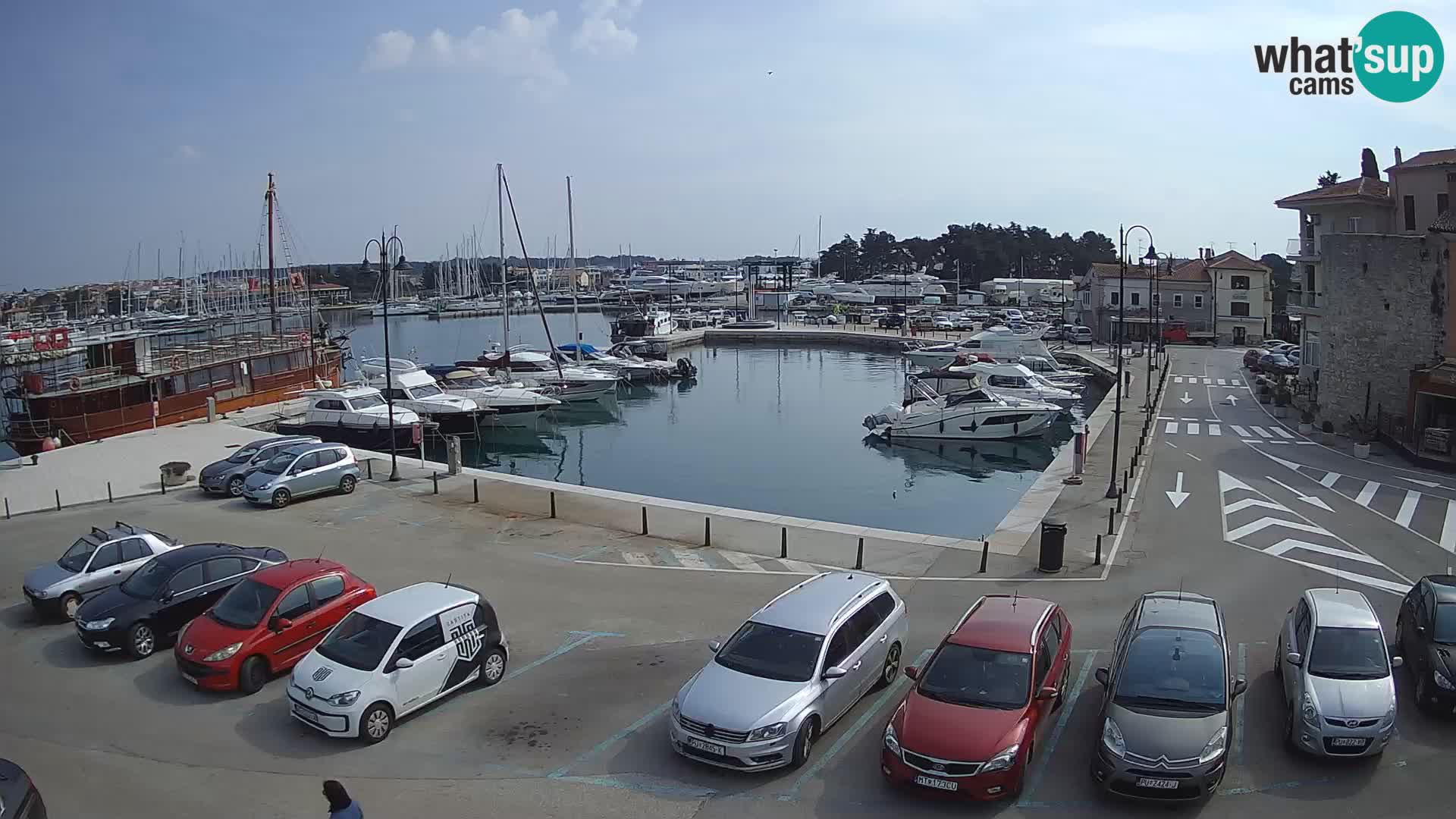 Novigrad | Porporela marina