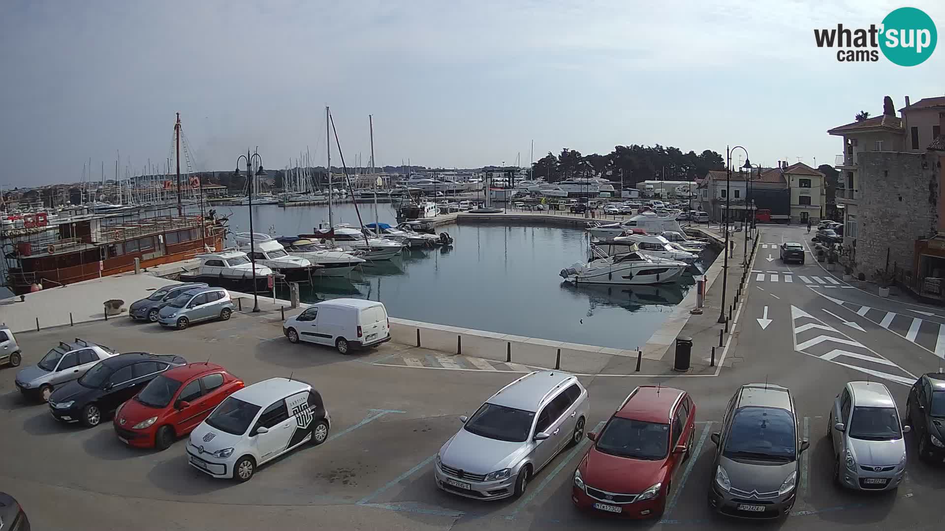 Novigrad | Porporela marina