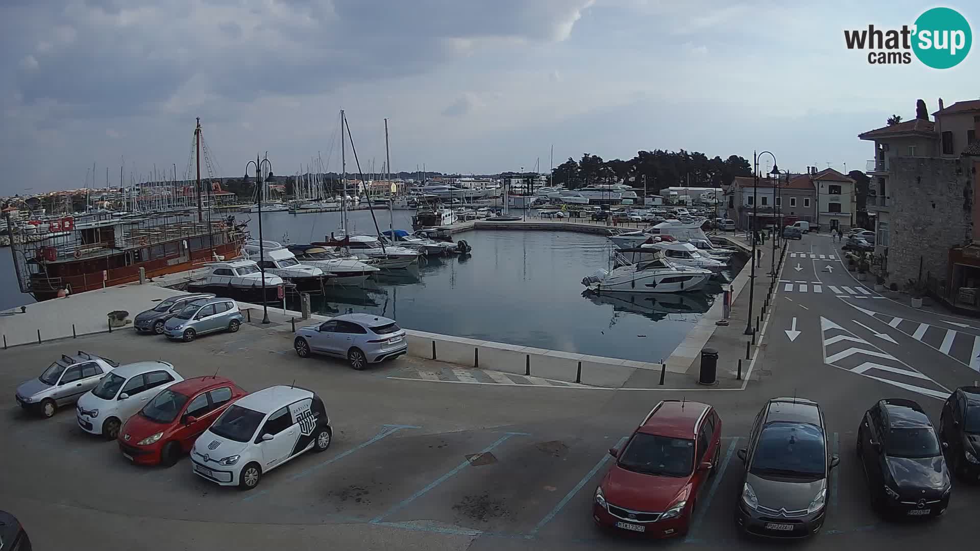 Novigrad | Porporela marina