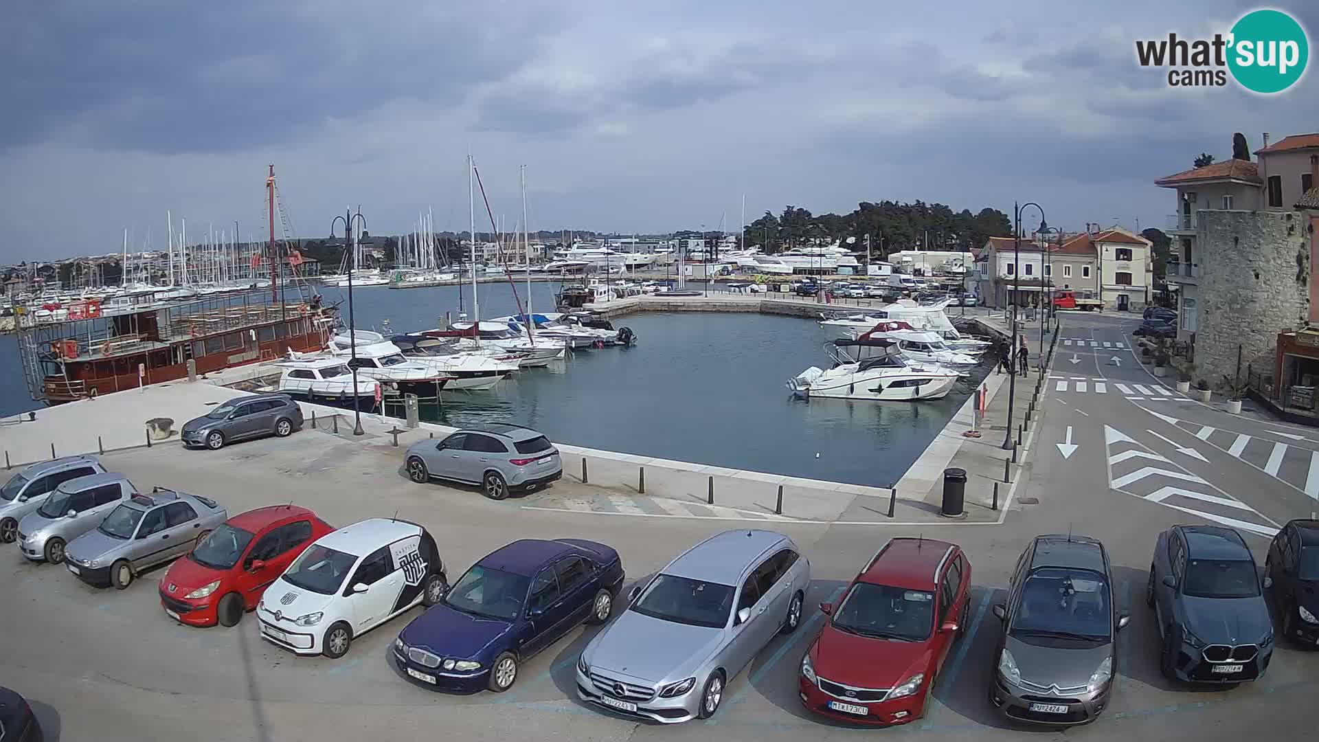 Novigrad | Porporela marina