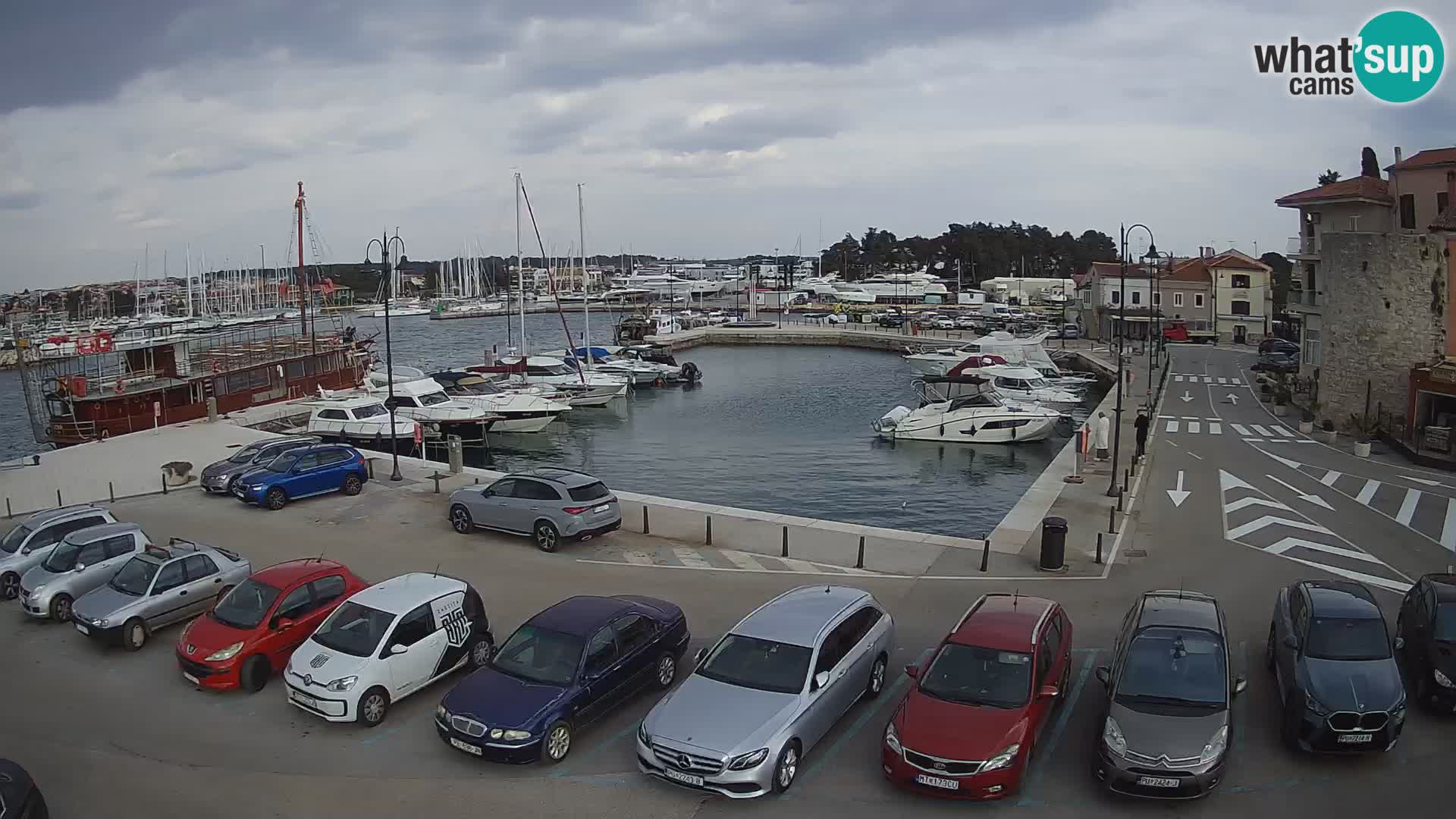 Novigrad | Porporela marina