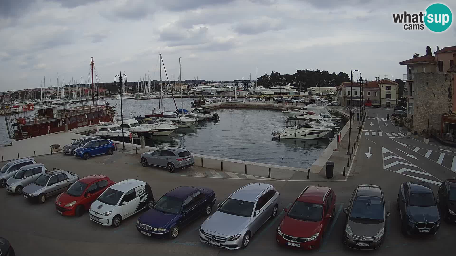 Novigrad | Porporela marina