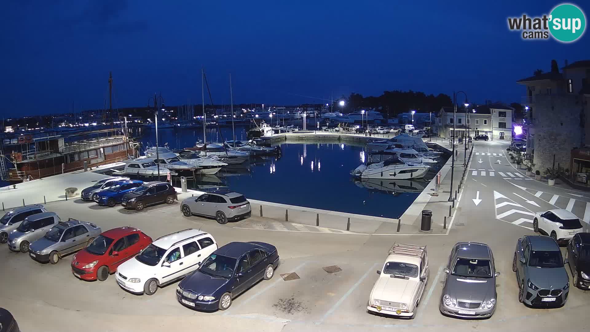 Novigrad | Porporela marina