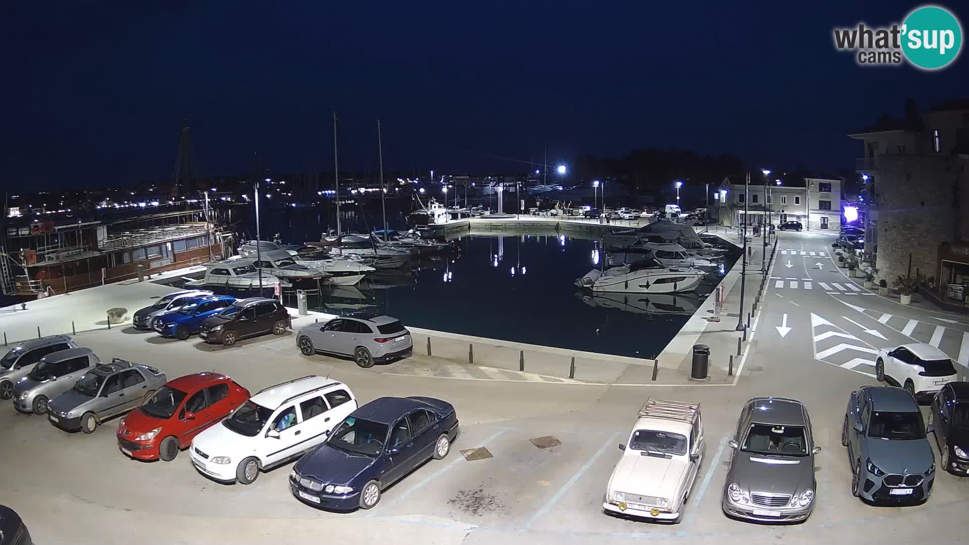 Novigrad | Porporela marina