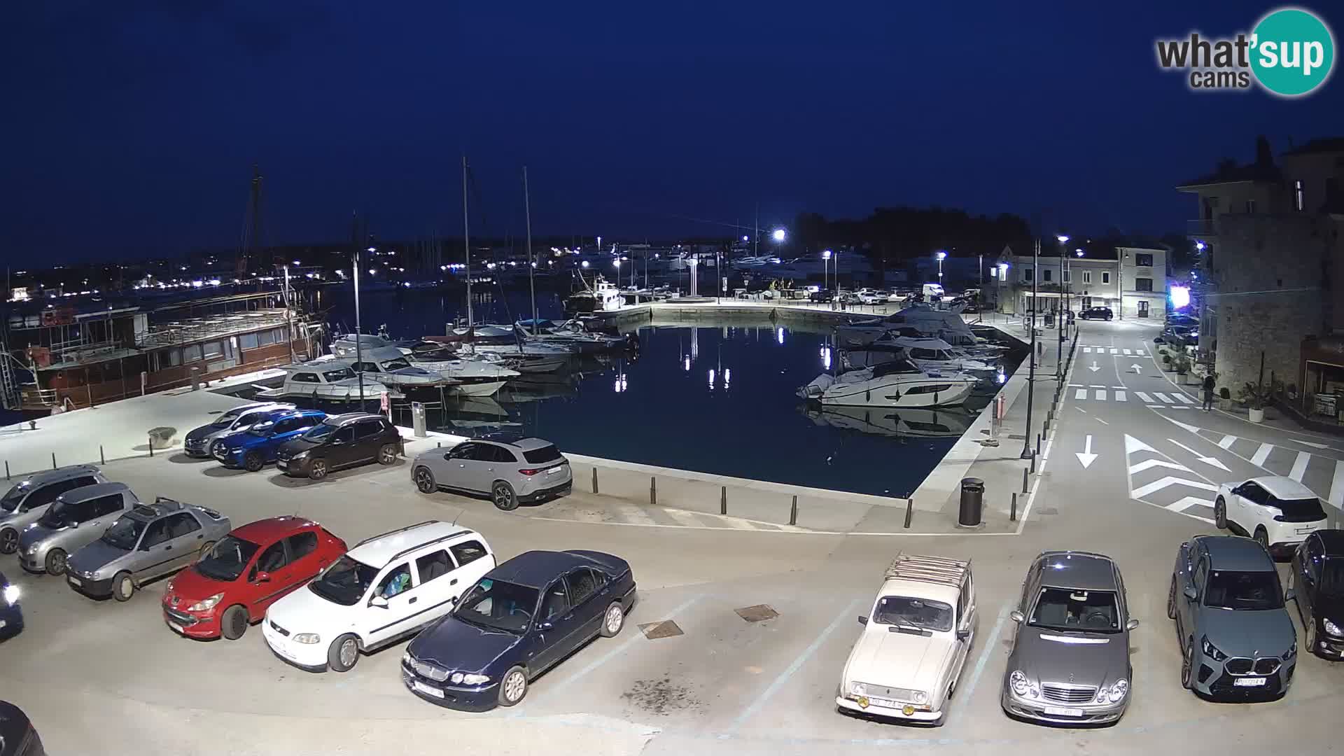 Novigrad | Porporela marina