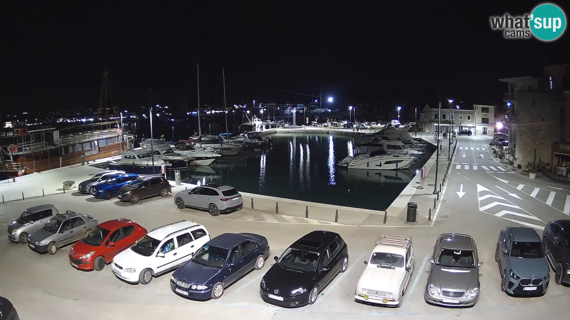 Novigrad | Porporela marina