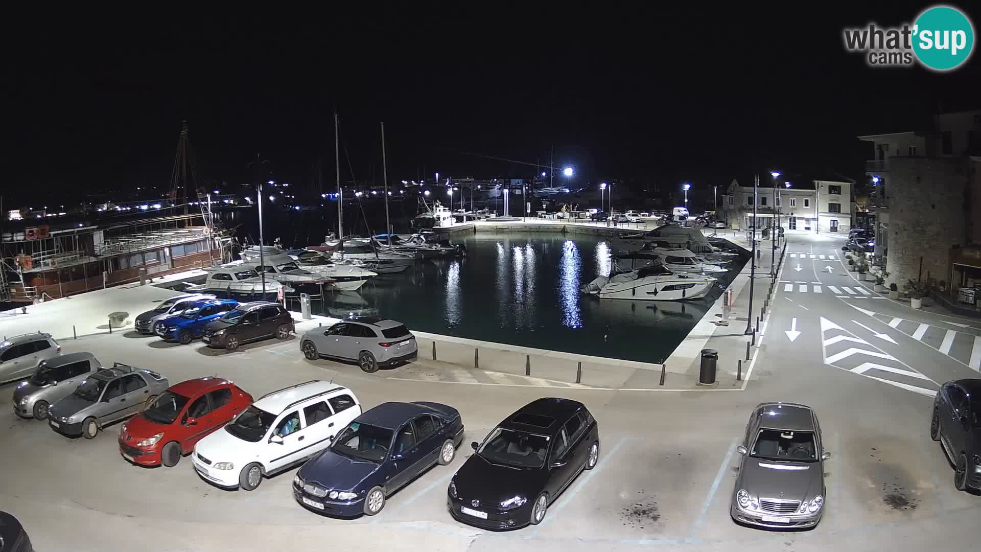 Novigrad | Porporela marina