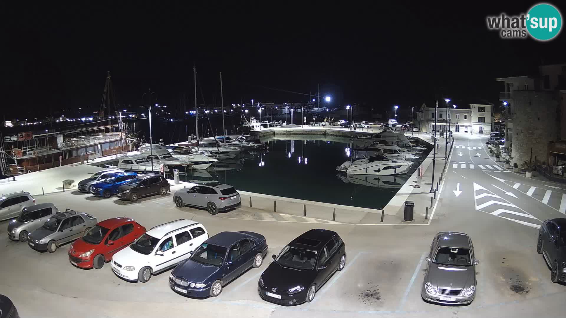 Novigrad | Porporela marina
