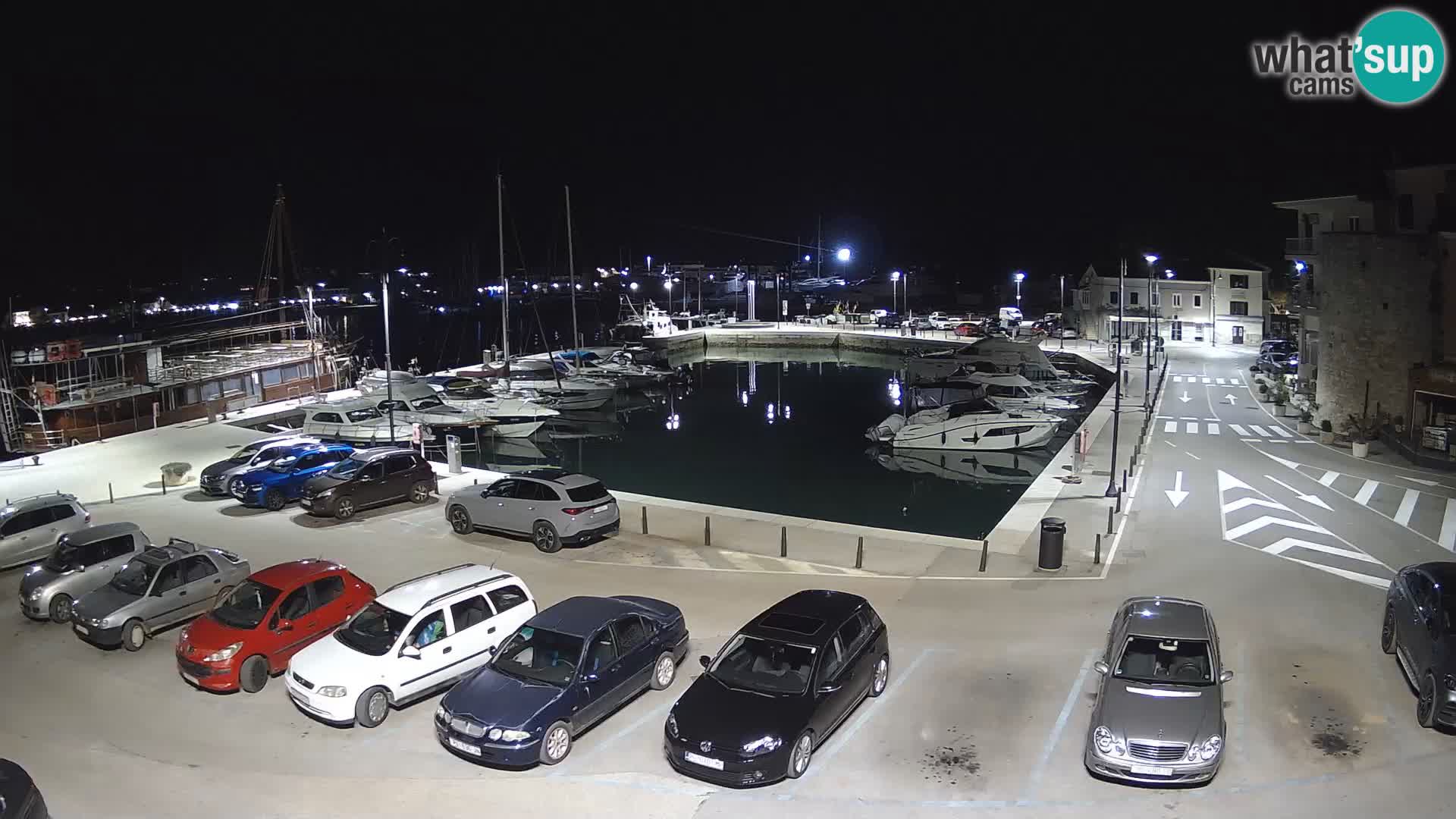 Novigrad | Porporela marina