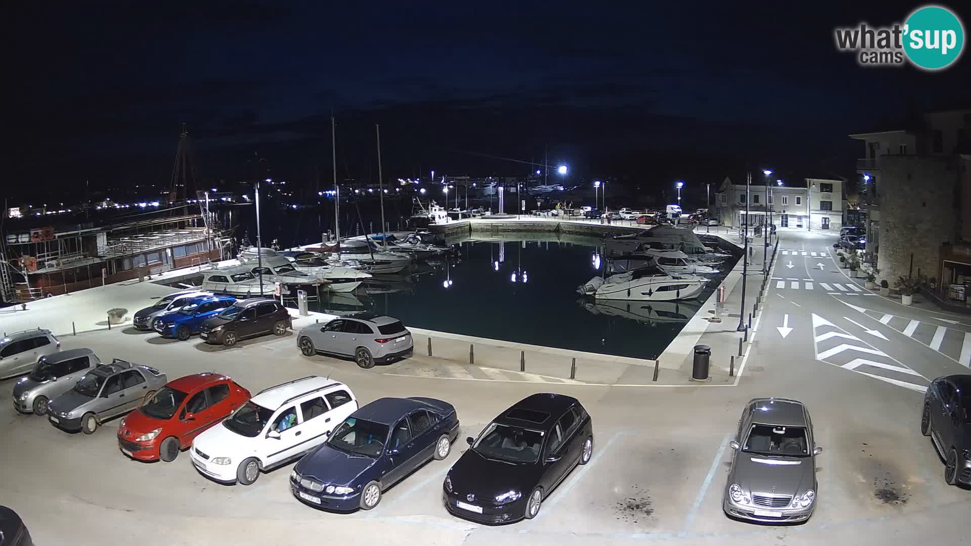 Novigrad | Porporela marina