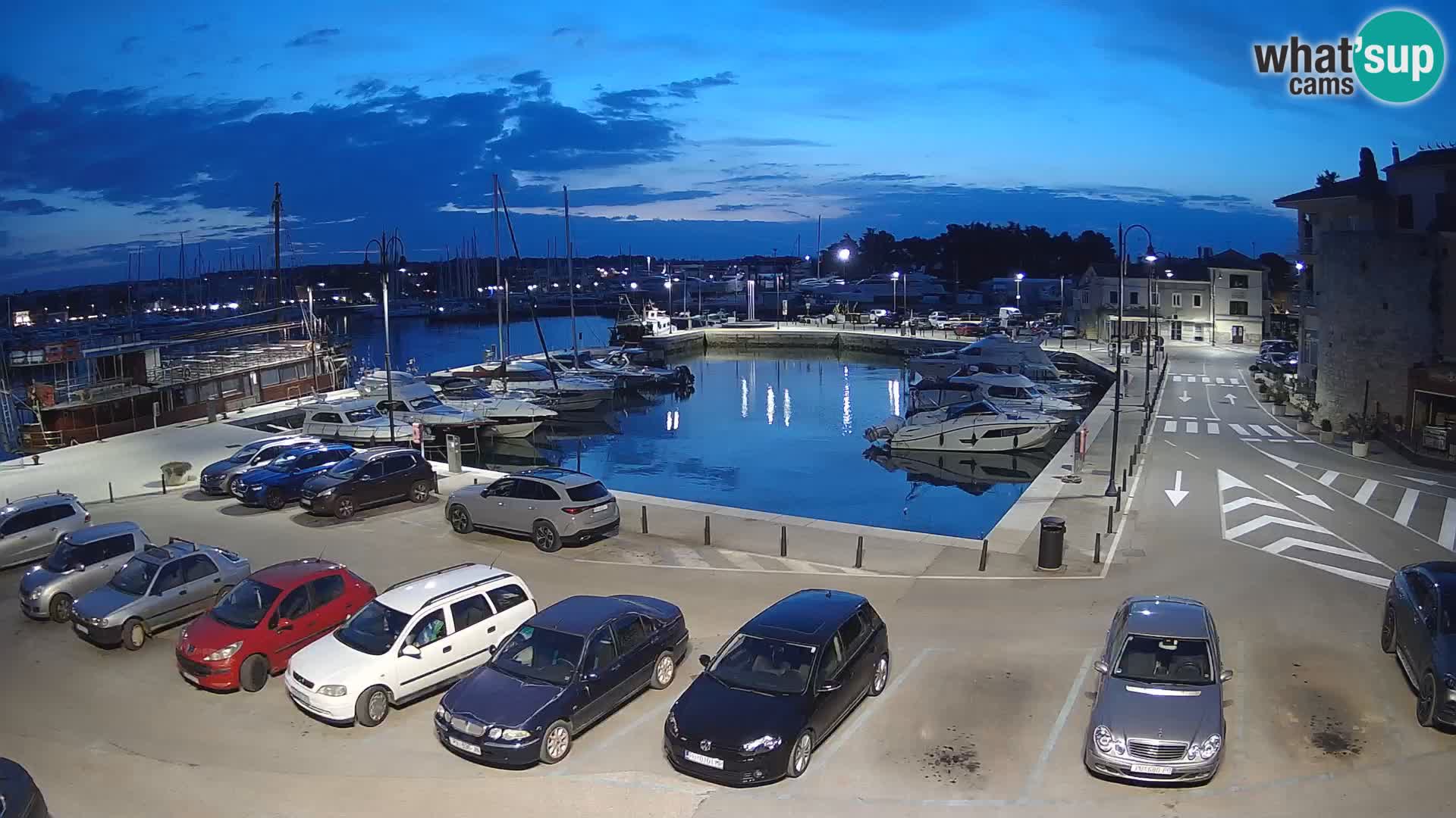 Novigrad | Porporela marina