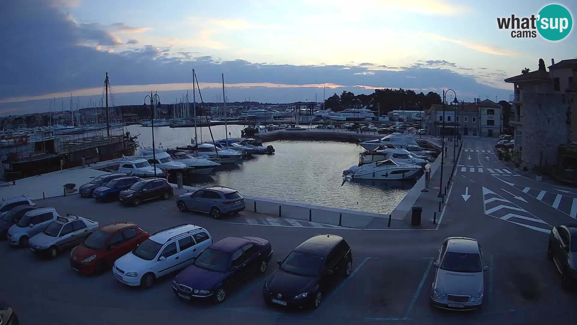 Novigrad | Porporela marina