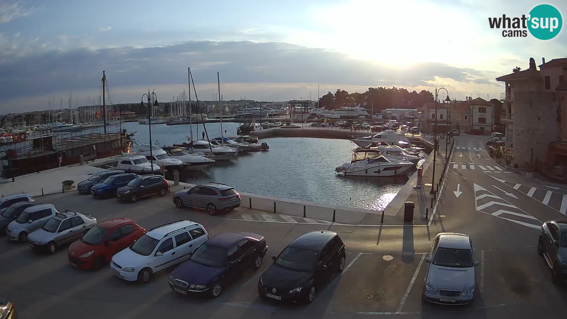 Novigrad | Porporela marina