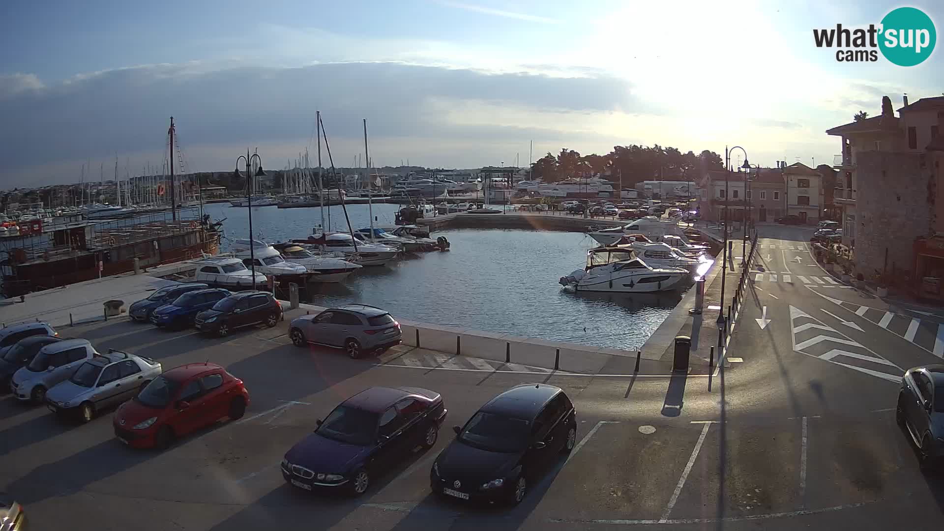 Novigrad | Porporela marina