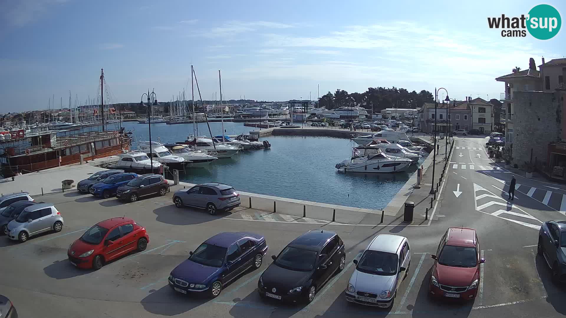 Novigrad | Porporela marina