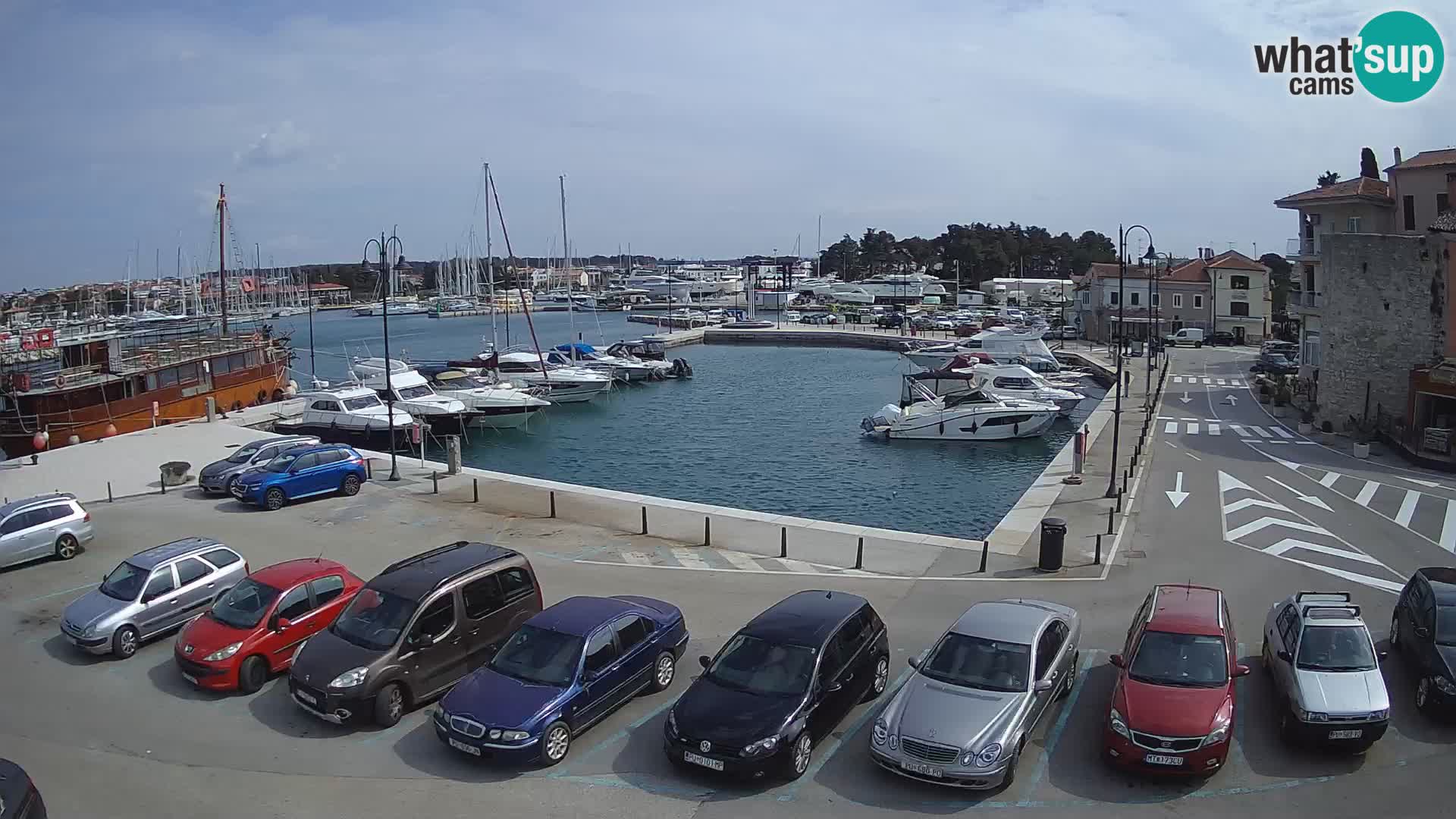 Novigrad | Porporela marina