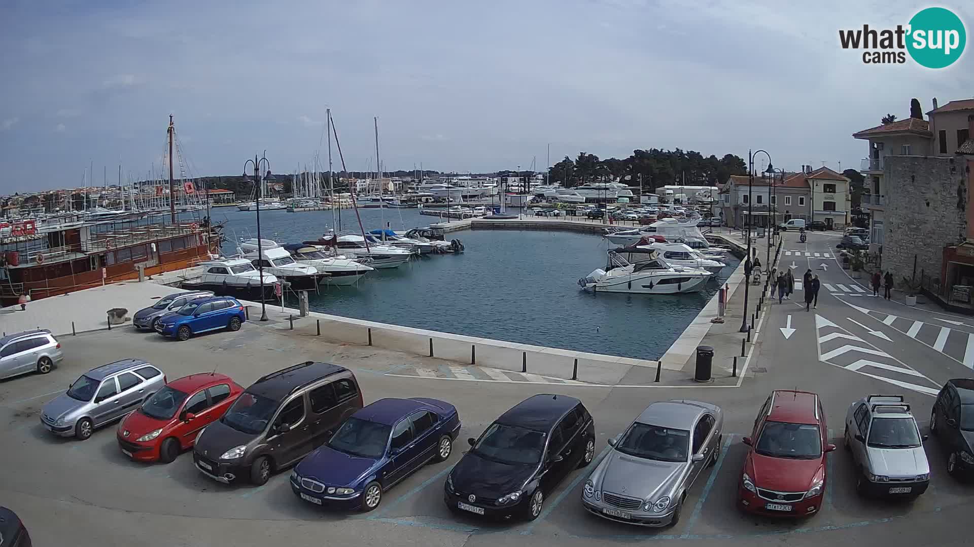 Novigrad | Porporela marina