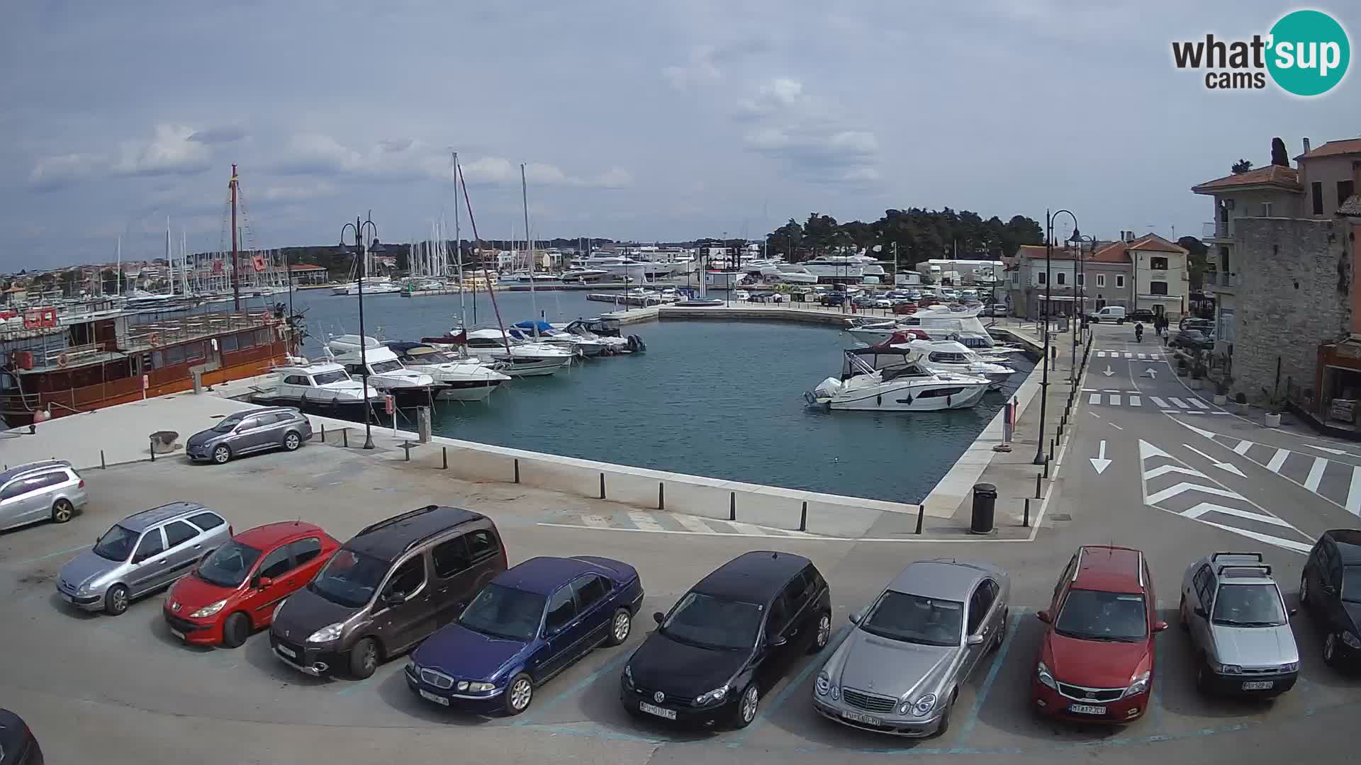 Novigrad | Porporela marina