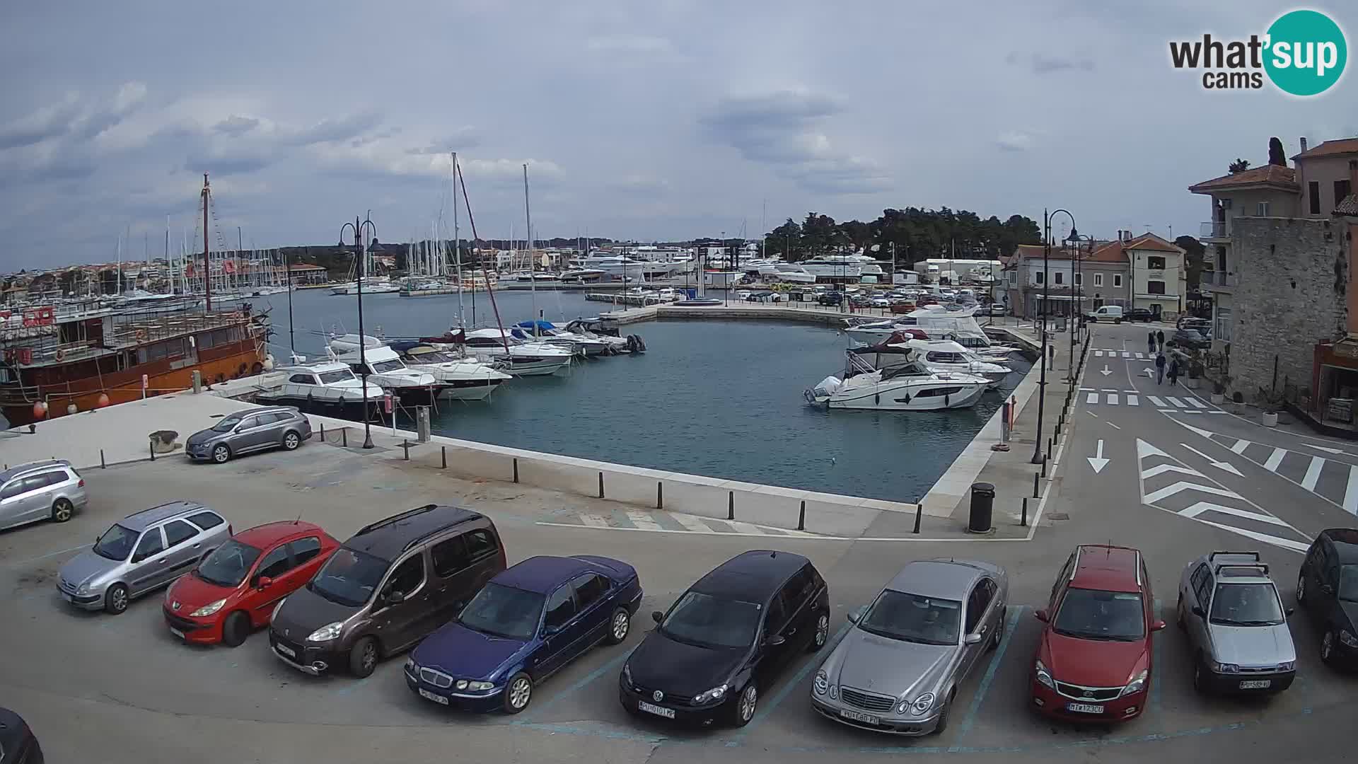 Novigrad | Porporela marina