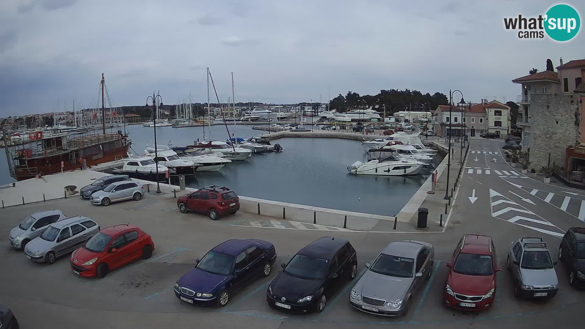 Novigrad | Porporela marina