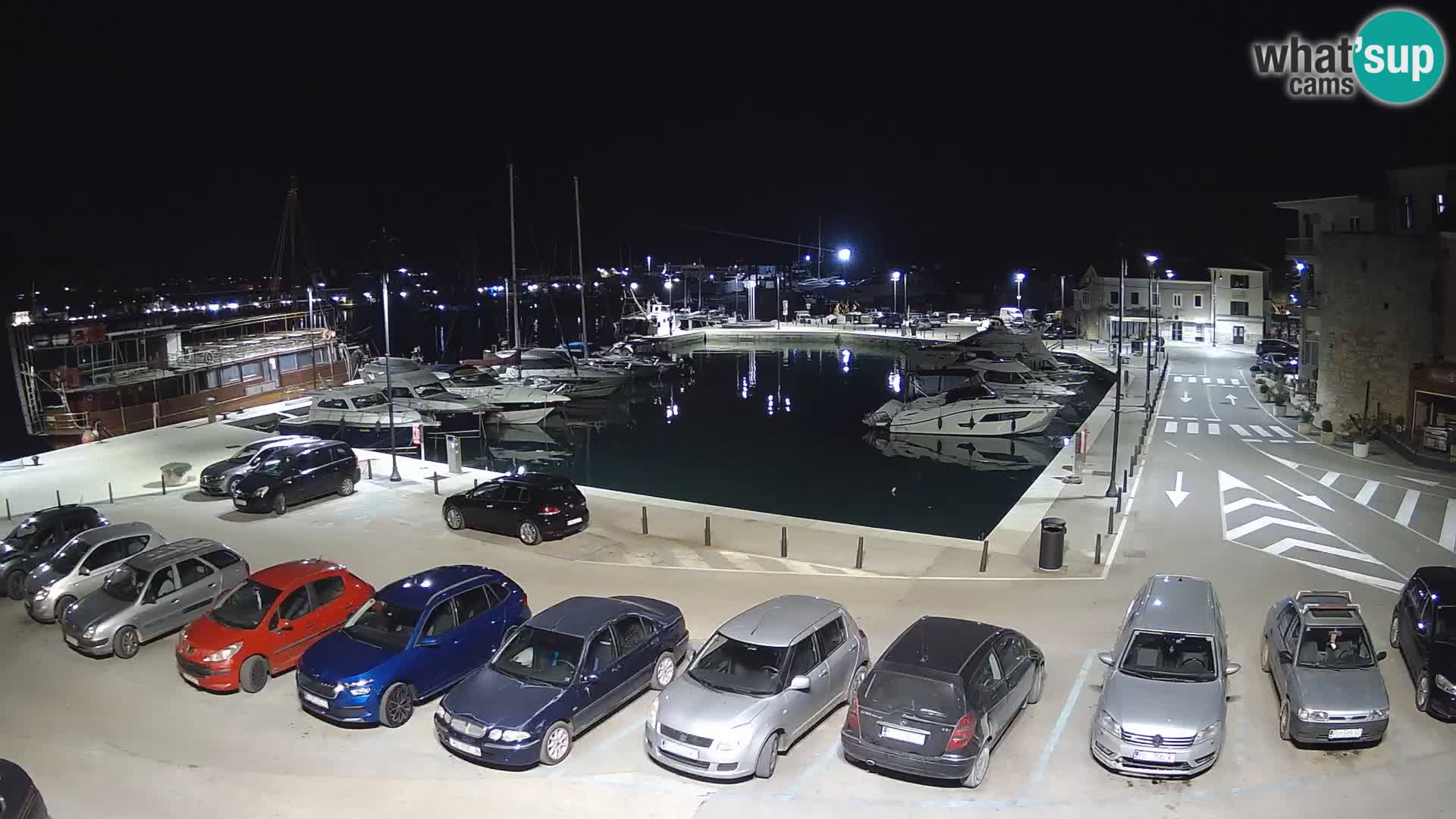 Novigrad | Porporela marina