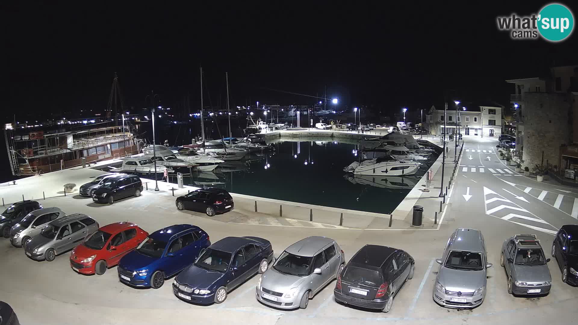 Novigrad | Porporela marina