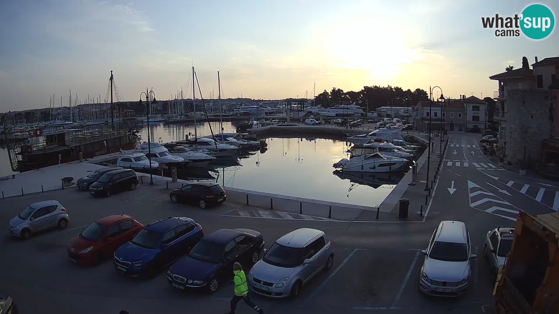 Novigrad | Porporela marina