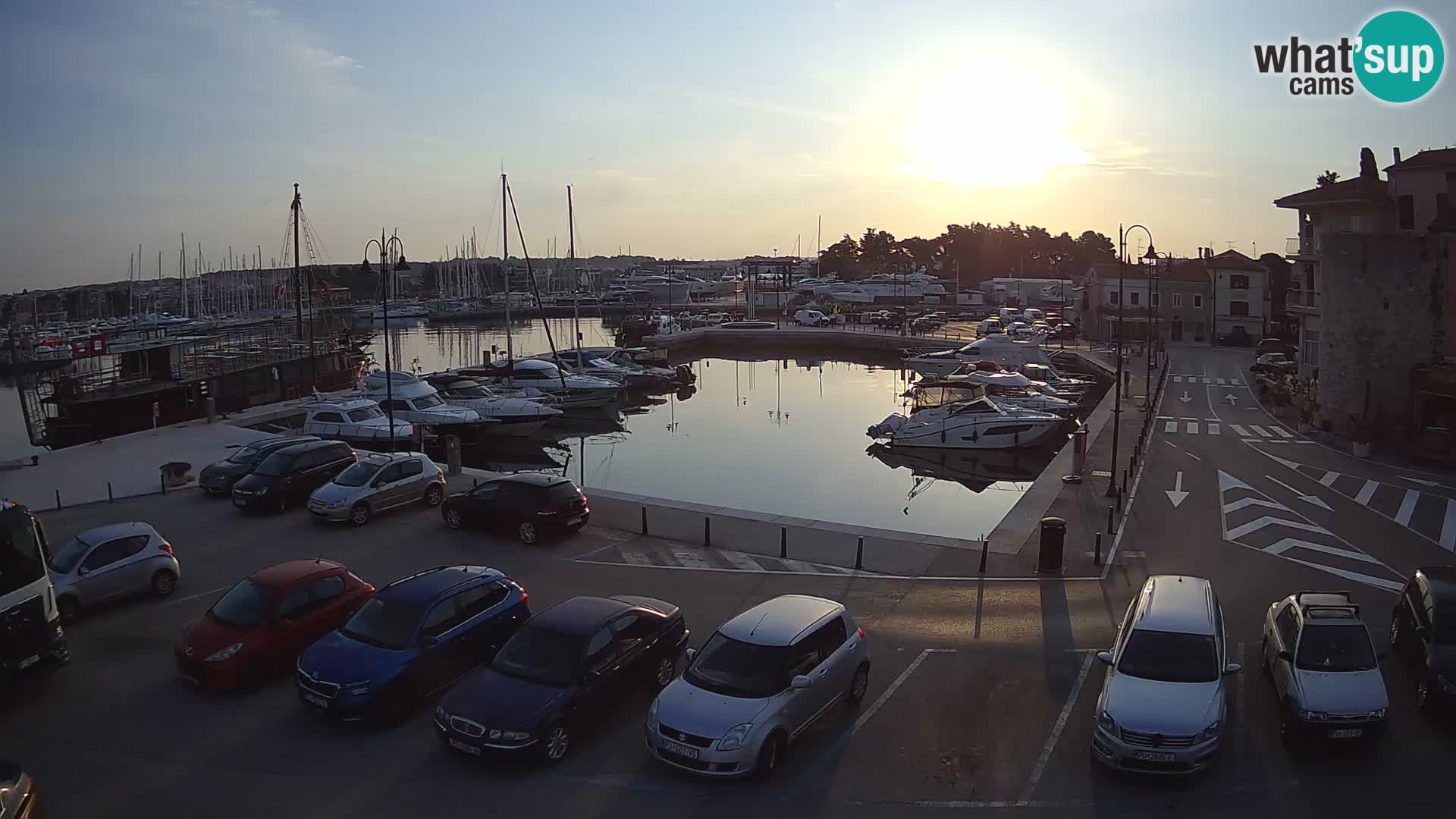 Novigrad | Porporela marina