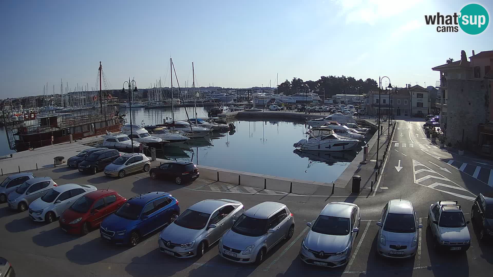 Novigrad | Porporela marina