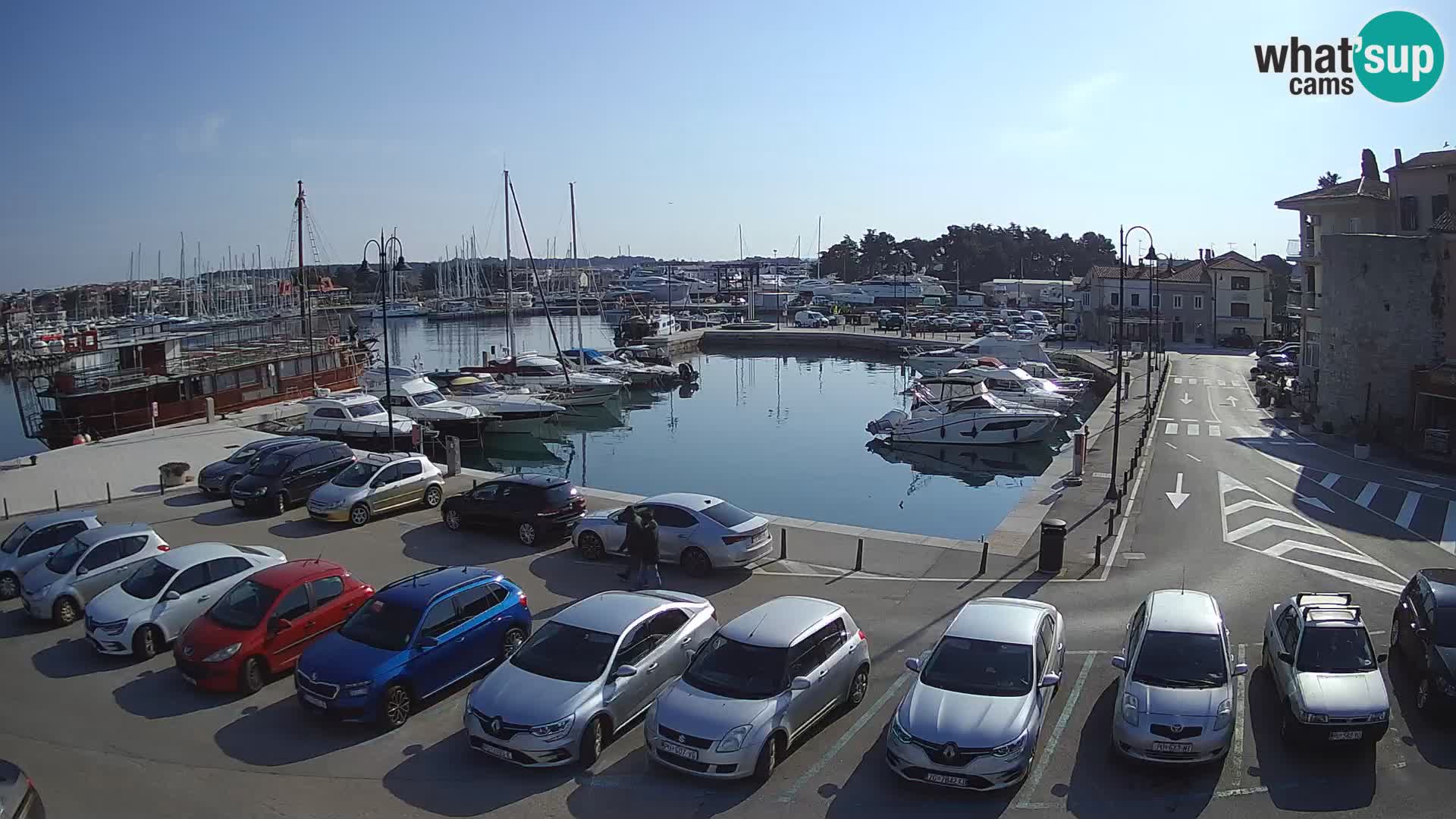 Novigrad | Porporela marina