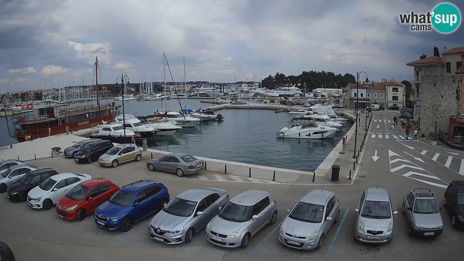 Novigrad | Porporela marina
