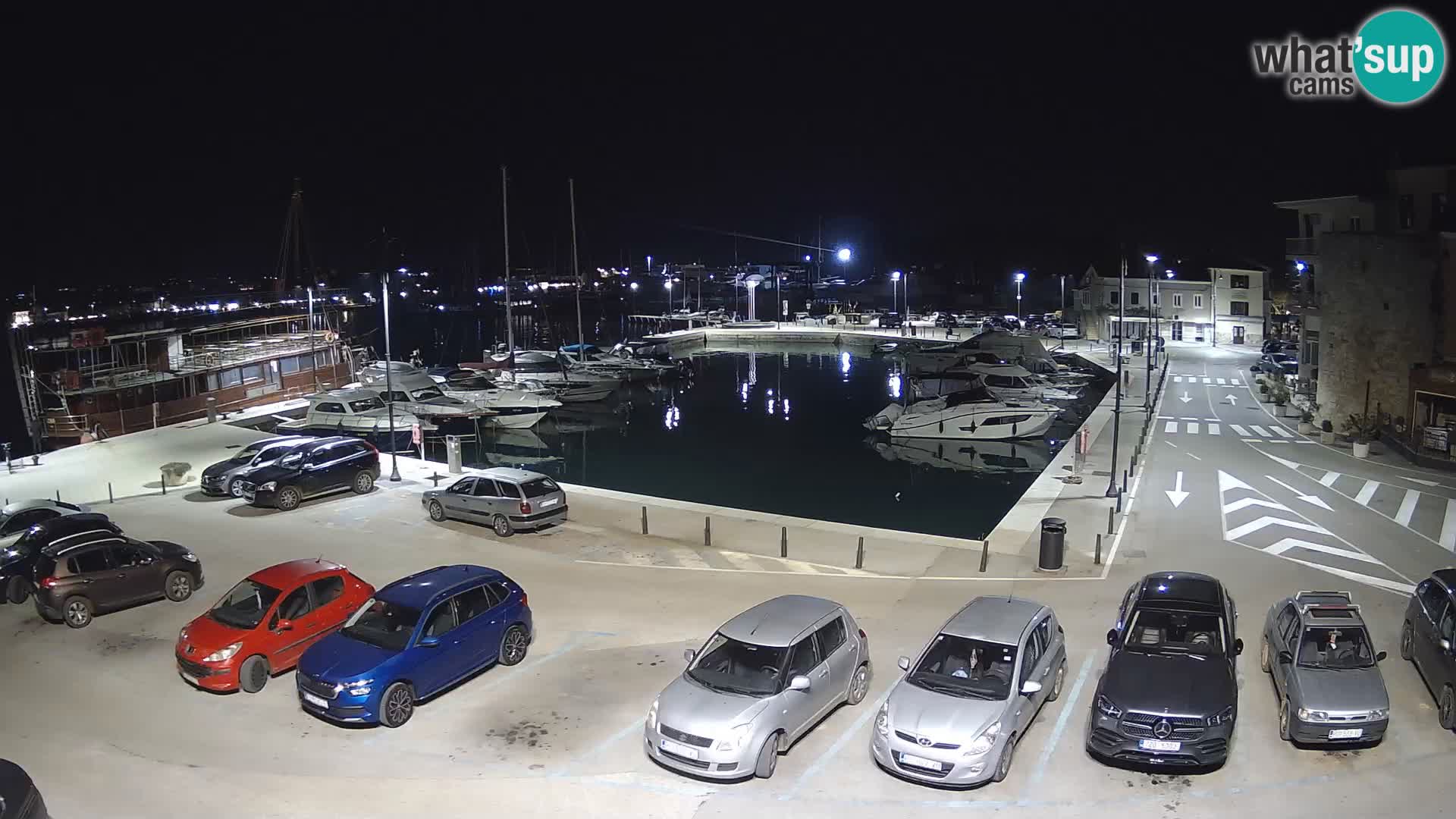 Novigrad | Porporela marina