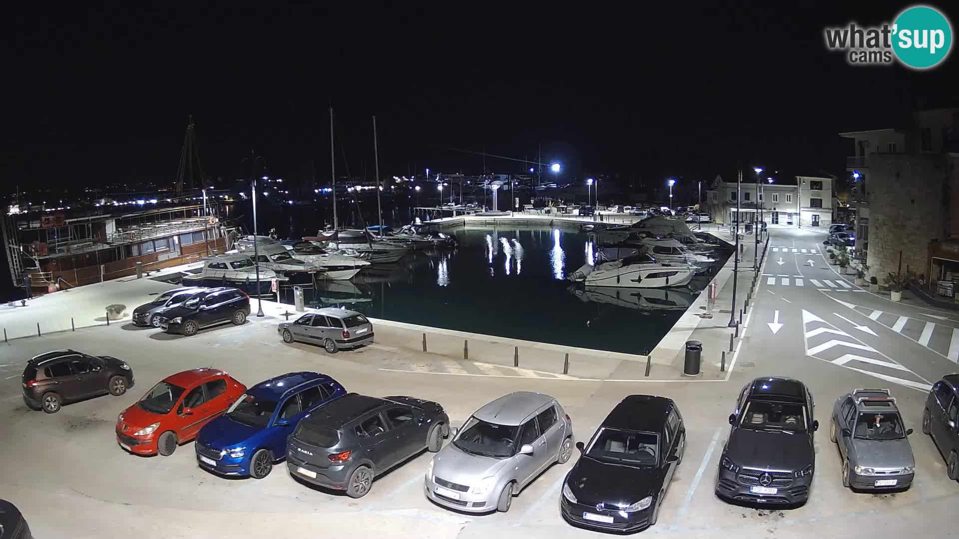 Novigrad | Porporela marina