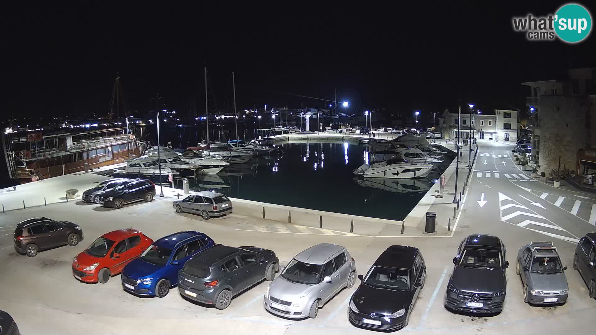 Novigrad | Porporela marina