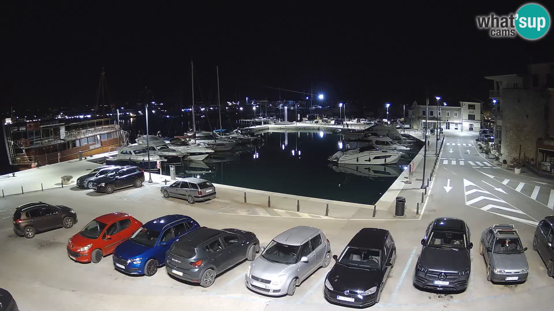 Novigrad | Porporela marina