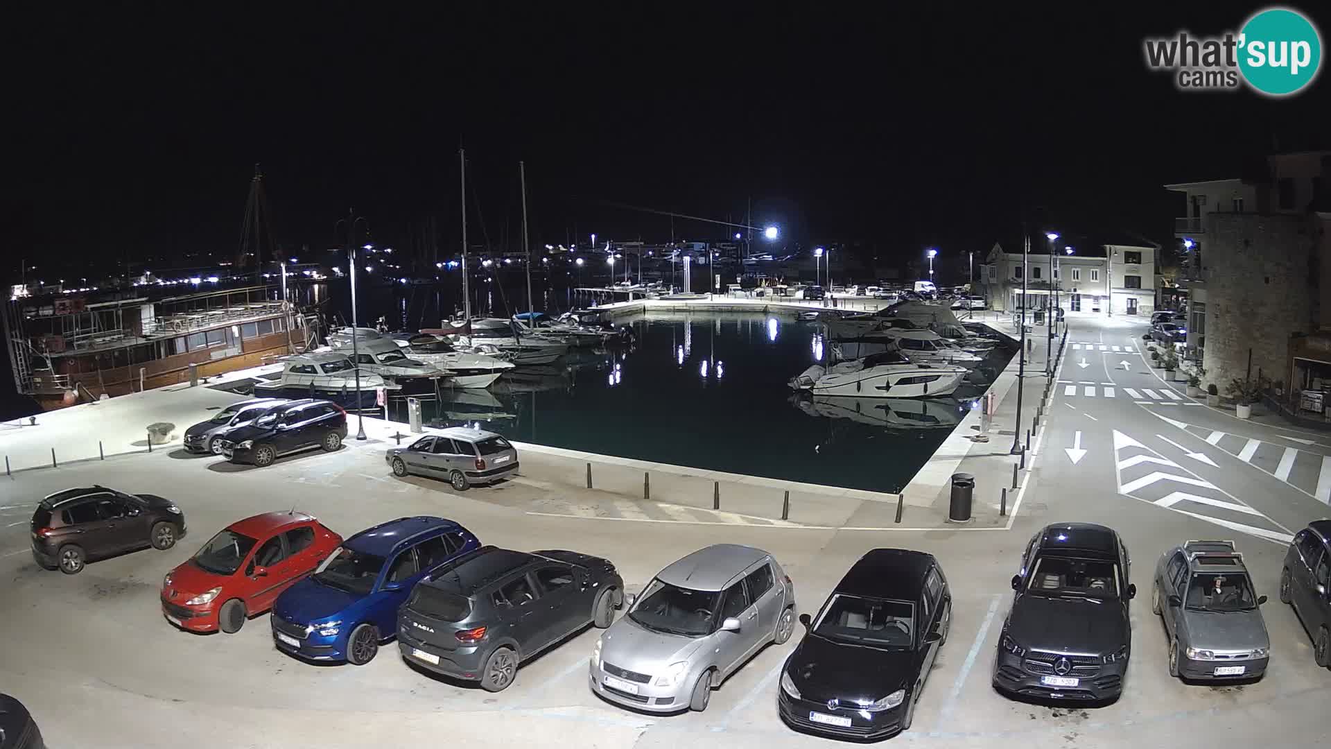 Novigrad | Porporela marina