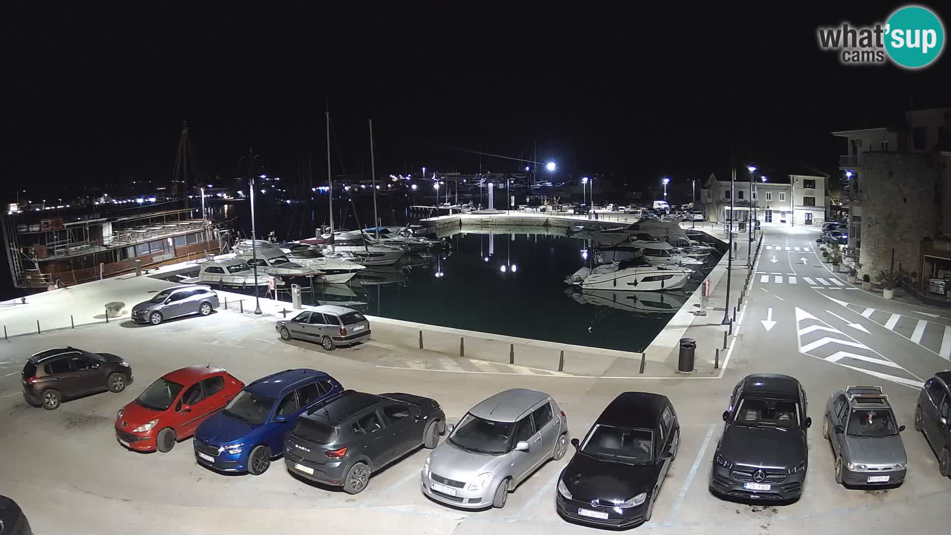 Novigrad | Porporela marina