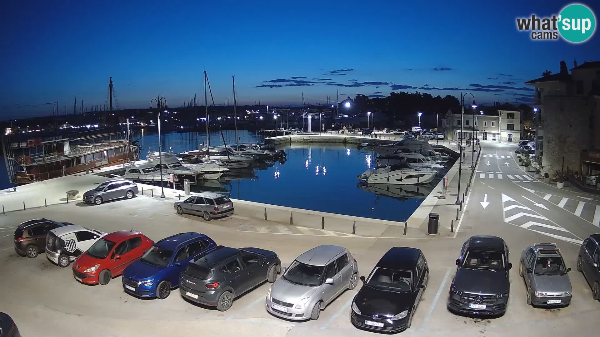 Novigrad | Porporela marina