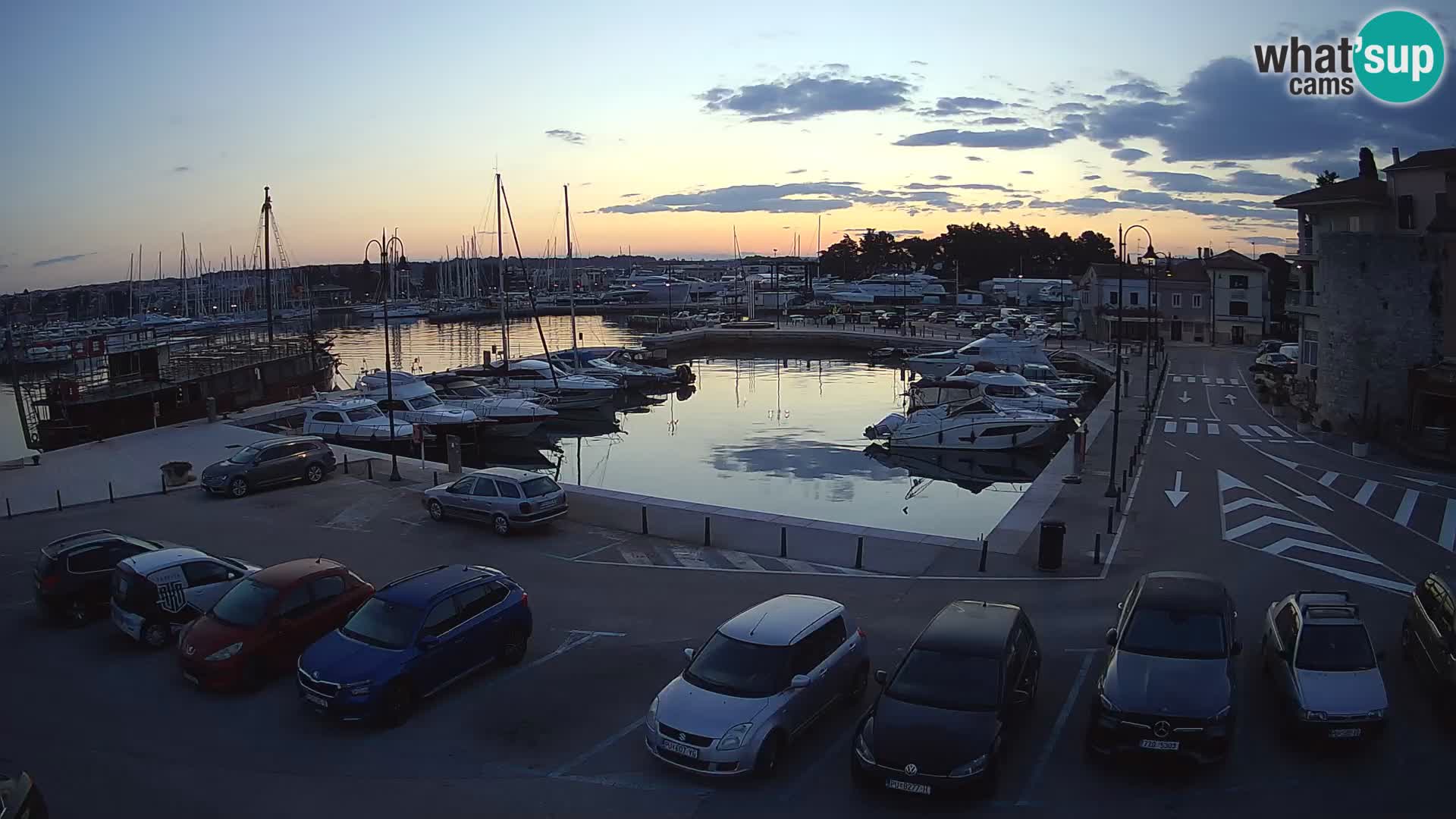 Novigrad | Porporela marina