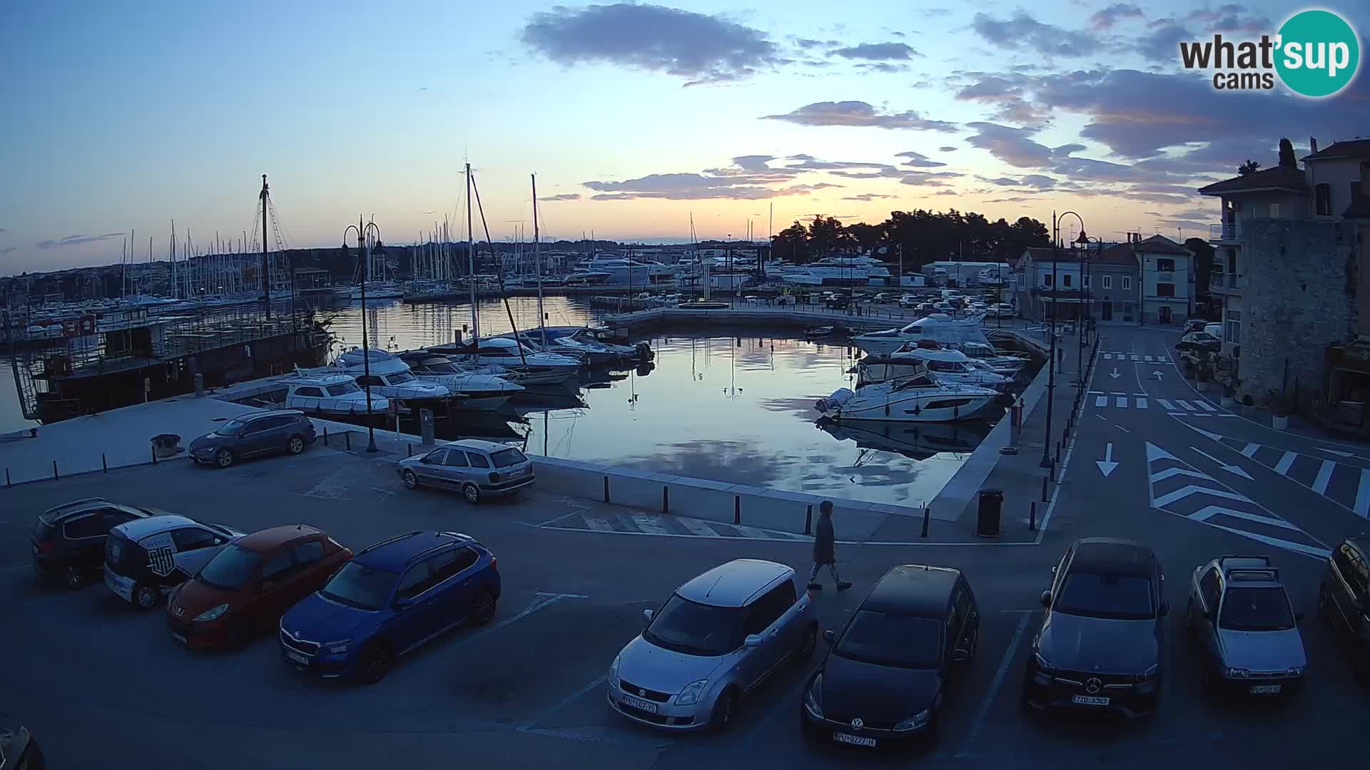 Novigrad | Porporela marina