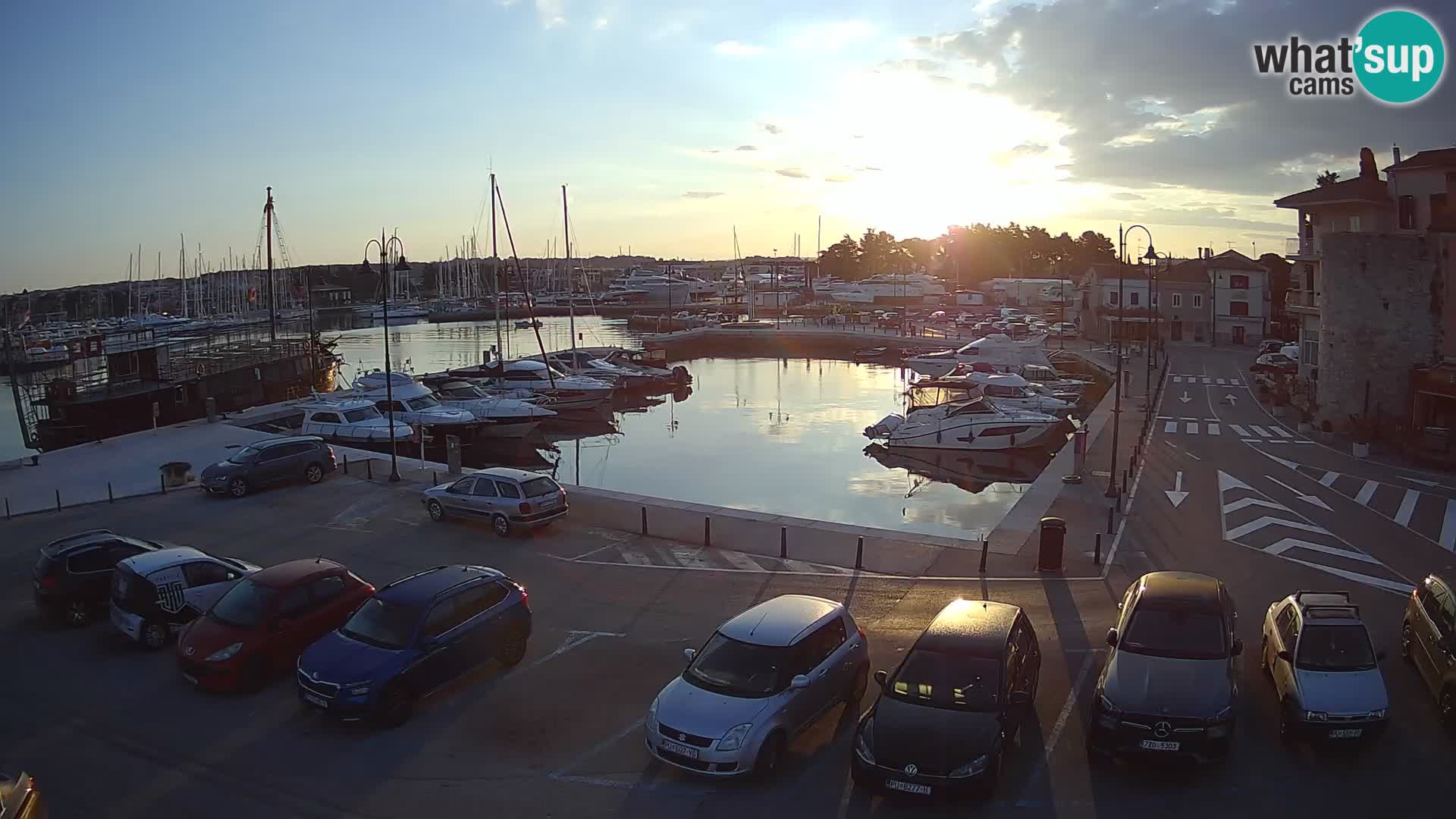 Novigrad | Porporela marina