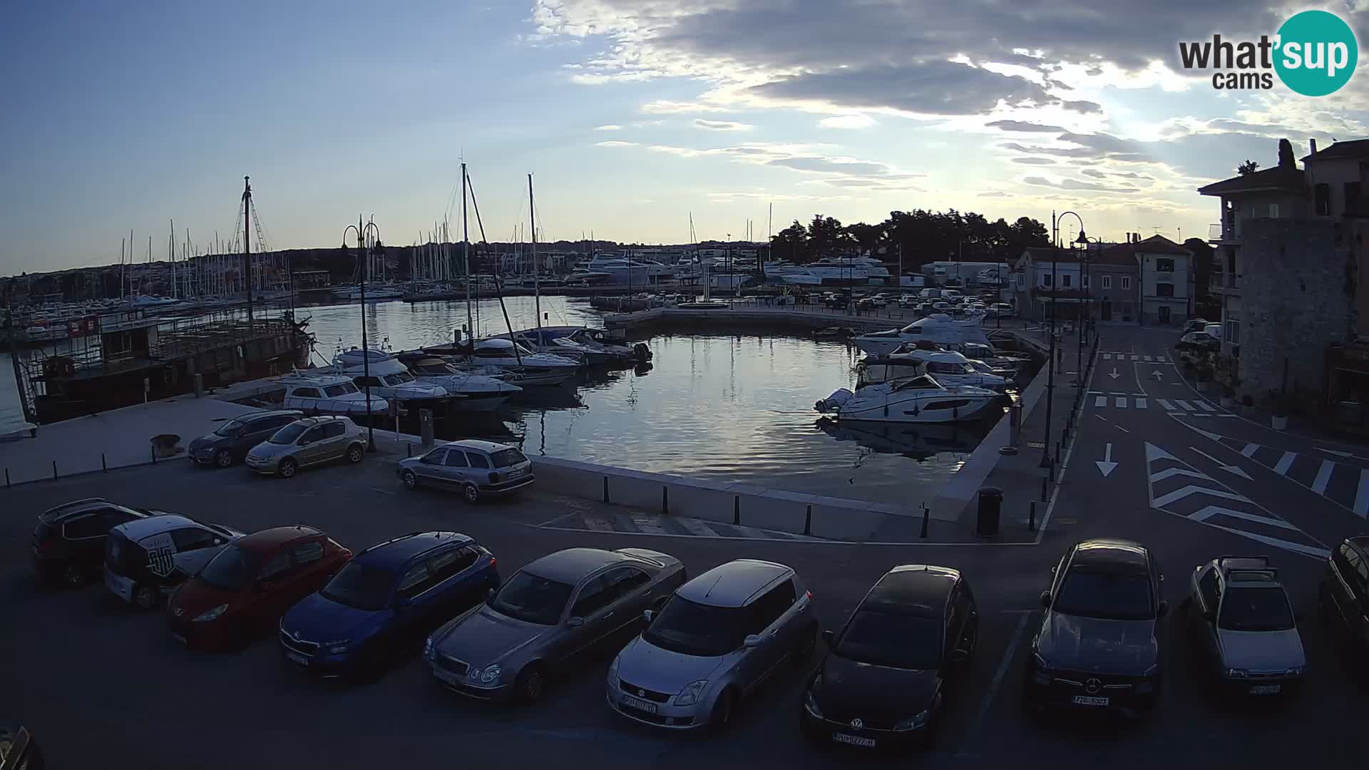 Novigrad | Porporela marina
