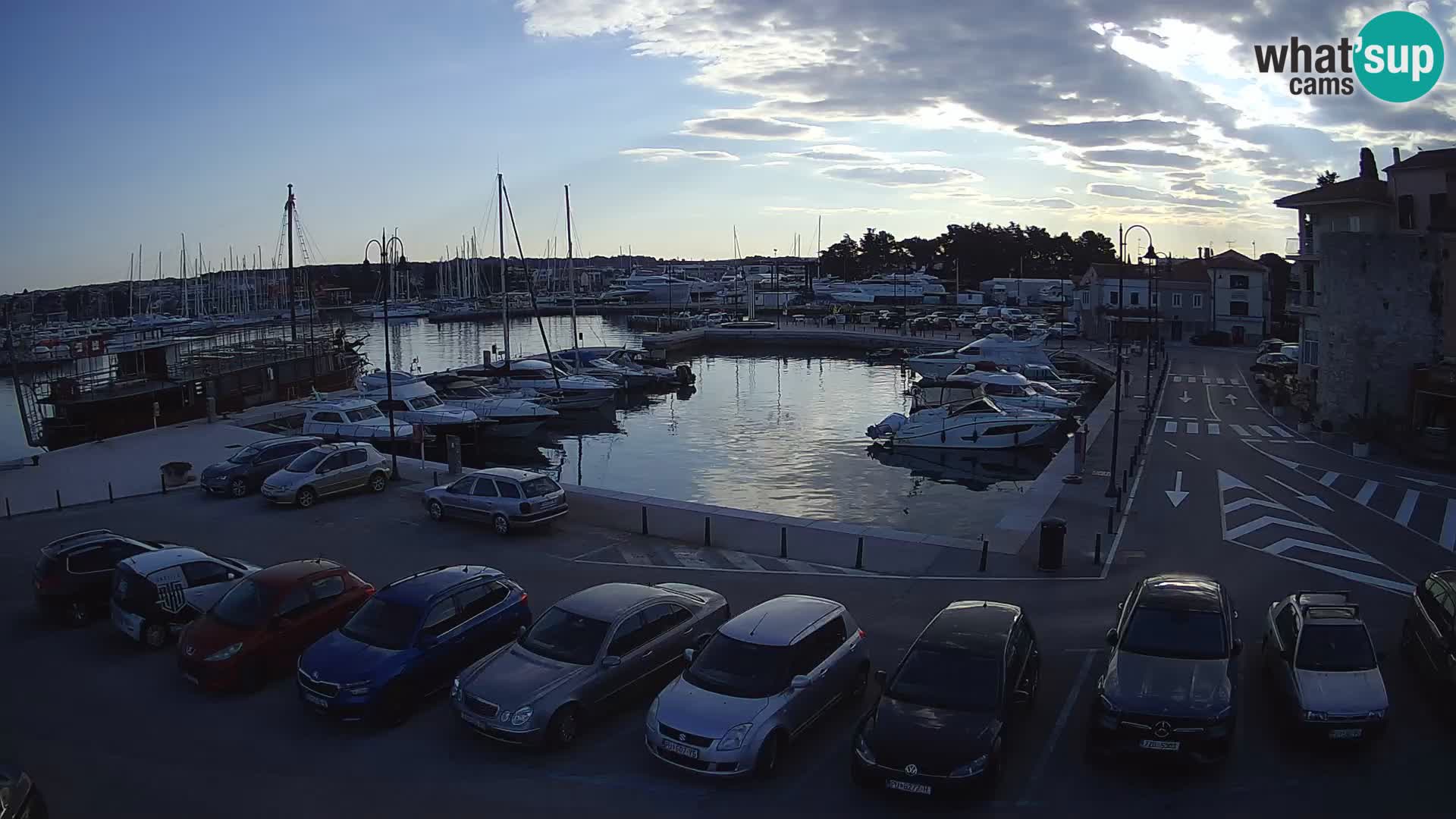 Novigrad | Porporela marina