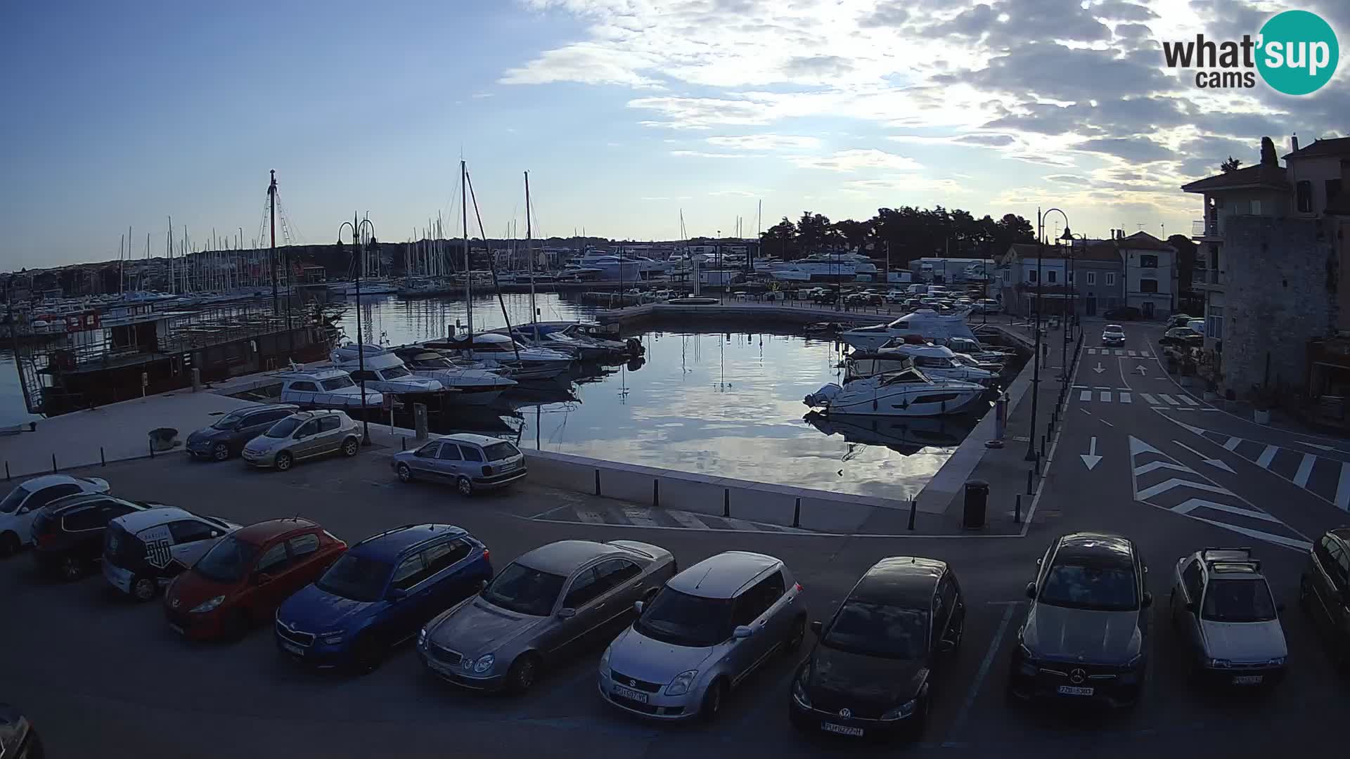 Novigrad | Porporela marina