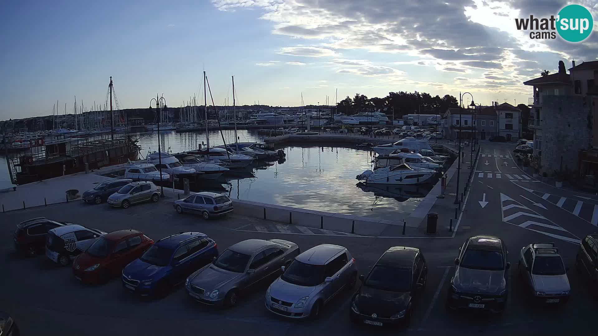 Novigrad | Porporela marina